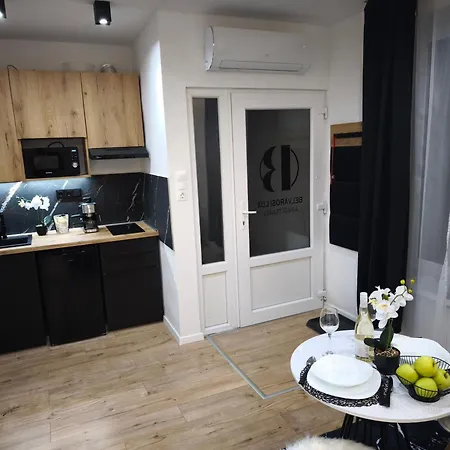 Belvarosi Lux 2 アパート *